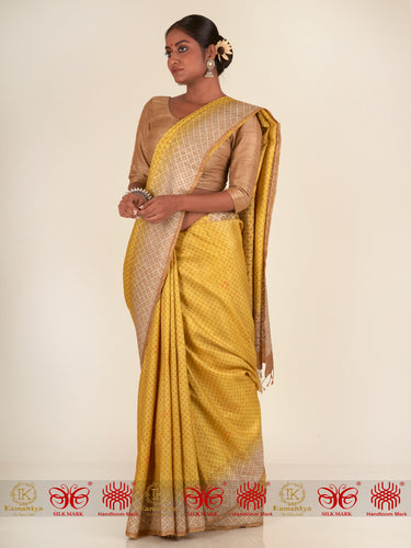 Chandramukhi - Saree